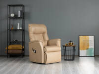 Abbot Riser Recliner